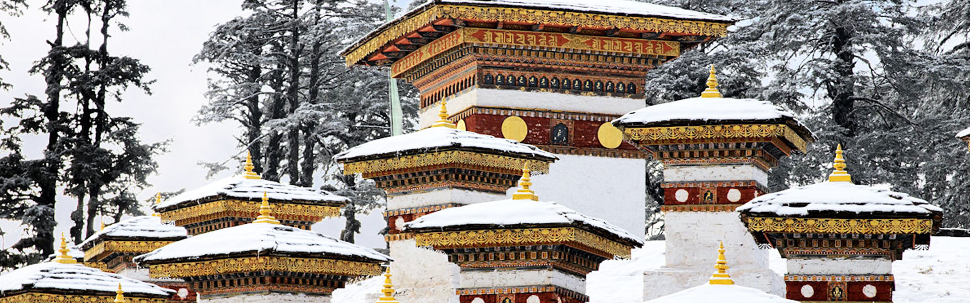 8 Nights 9 Days Bhutan Winter season Tour. Thimphu, Punakha, Gangtey & Paro