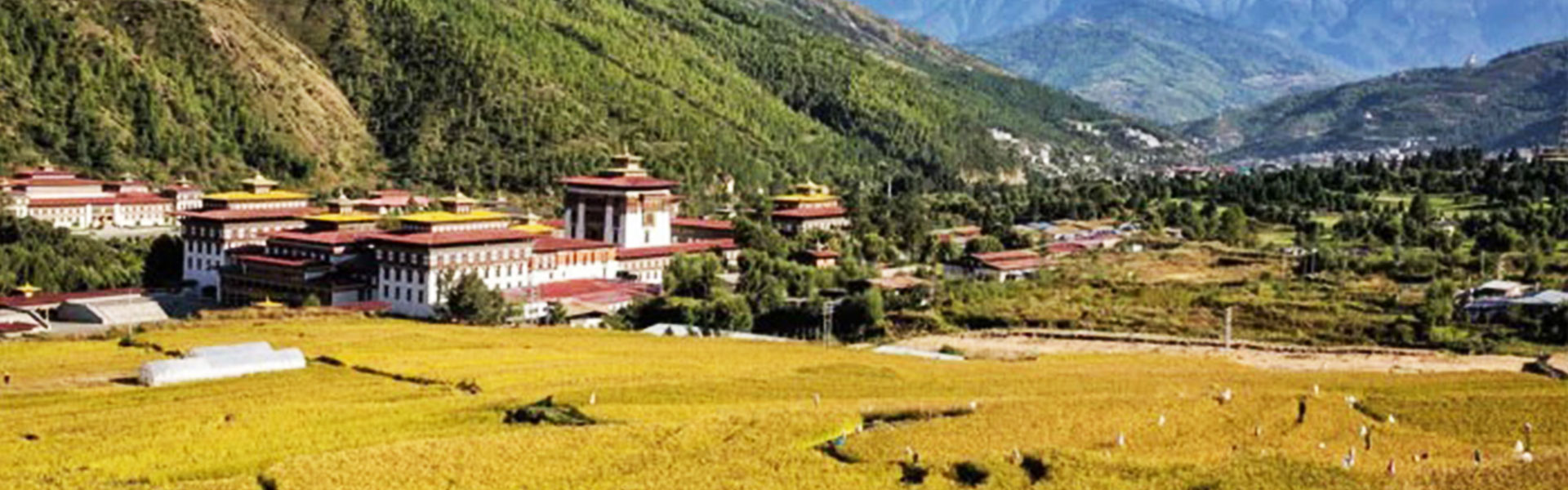 7 Nights 8 Days Bhutan Autumn season Tour. Thimphu, Punakha Haa & Paro